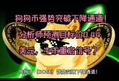 开云官网-专家称狗狗币将在年底冲破Polkadot美元，引发引发关注，震惊市场的简单介绍
