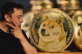 开云官网-狗狗币紧急遇到安全漏洞，损失达到12.51万美元，震惊市场