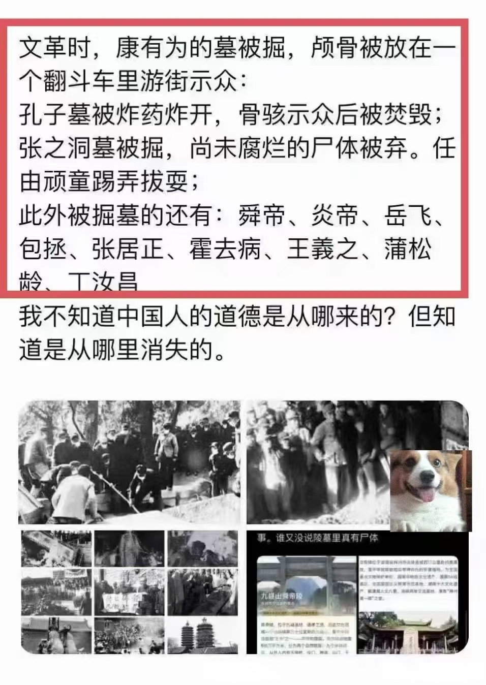 MATIC诈骗事件被揭露，已有超348人被骗！