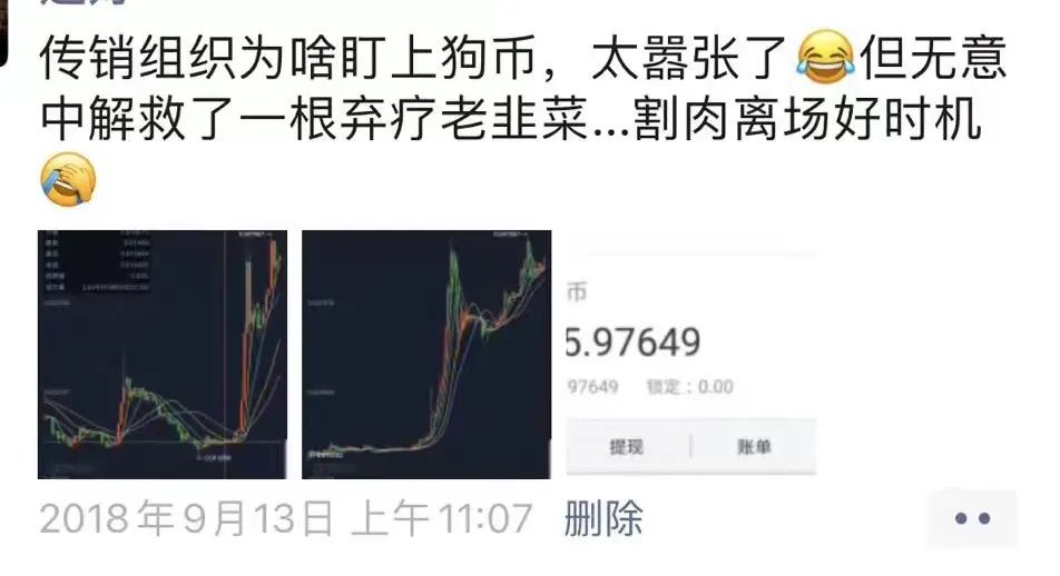 狗狗币投资陷阱被揭露，已有超24.6人被骗！，引爆行情