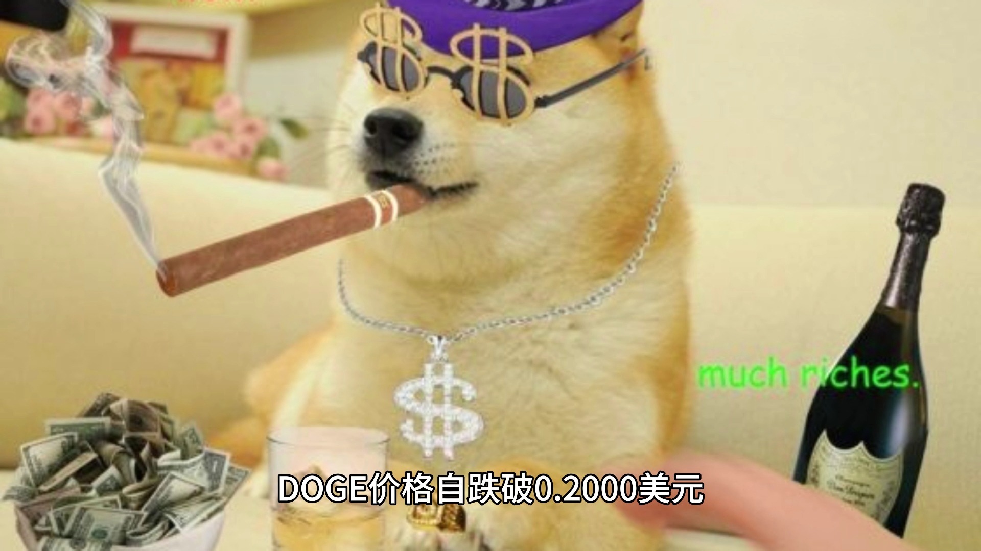 狗狗币飙升势惊人，一夜飙升378%，加密市场沸腾，投资者瞩目